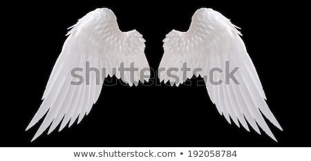 Stock fotó: Angel Wings Of White Feathers Isolated Object