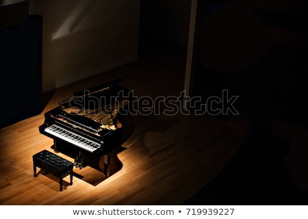 Foto d'archivio: Grand Piano