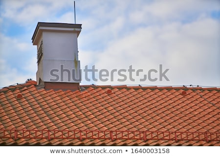 Stockfoto: Tiled Roof