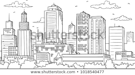 Zdjęcia stock: Vector Illustration Of Urban Skylines