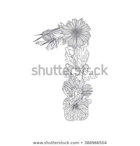 Stock photo: Set Of Black And White Floral Numerals