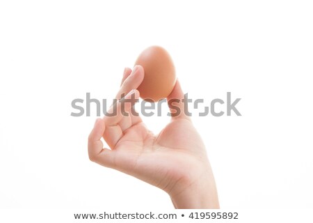Stock photo: Female Hand With Brown Egg