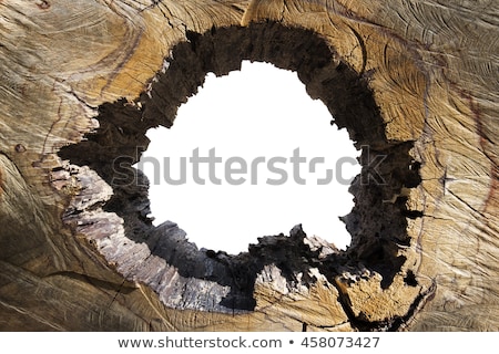 Stok fotoğraf: Hole In The Wood