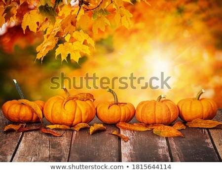 ストックフォト: Autumn Maple Leaves On Wooden Background