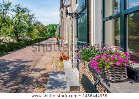 Stockfoto: Monumental Houses In Drimmelen