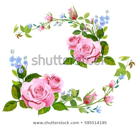 Foto stock: Buds Blue And Pink Petals Green Stems And Leaves
