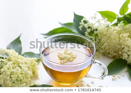 Stock photo: Elderberry Tea