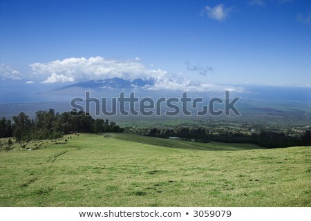 Poli Poli Upcountry Maui Hawaii Imagine de stoc © iofoto