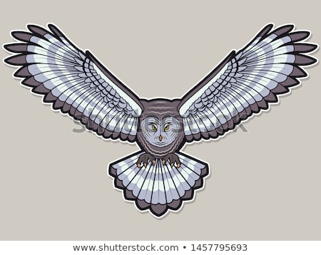 [[stock_photo]]: Banner Design With Gray Owl