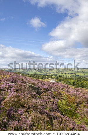 Stock fotó: Norland Halifax West Yorkshire Uk 5th September 2015