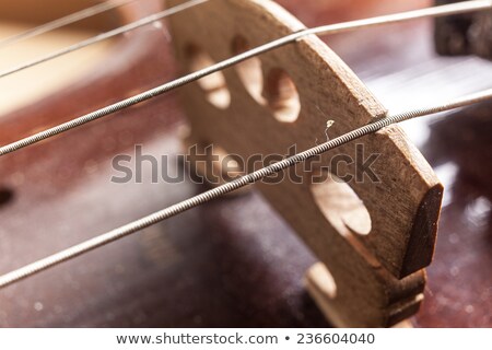 Stock fotó: Violin Strings And Violin Body