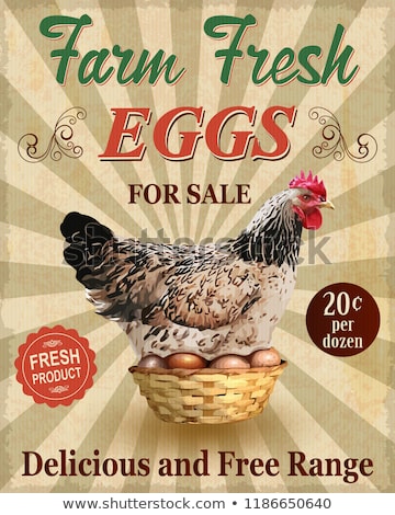 Stok fotoğraf: Eggs Poster