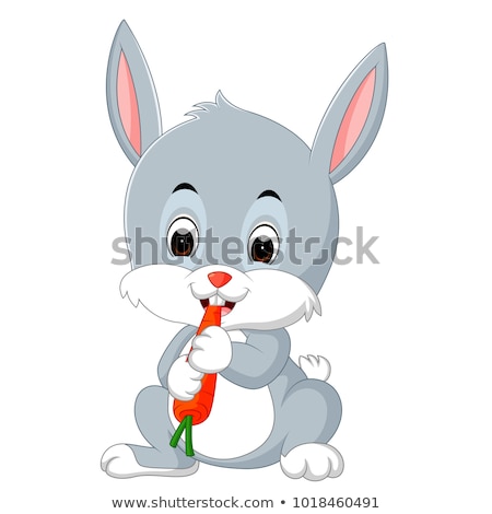 Stock photo: Rabbit Eating Carrots