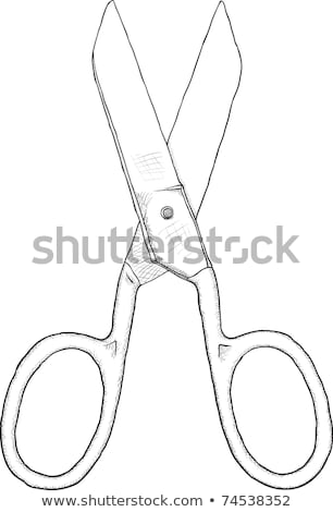 Monochrome Vector Artwork - Dressmaker Scissors On White Stockfoto © pzAxe