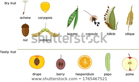 Foto stock: Capsule With Citrus Fruit