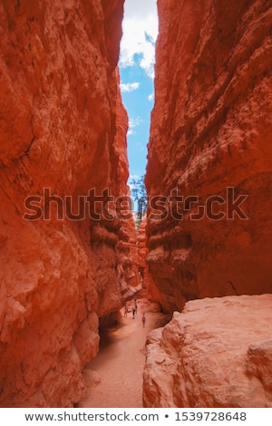 Foto stock: Beautiful Sunset At Desert View Point In The Great Canyon