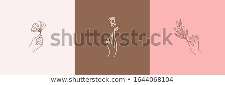 Stok fotoğraf: Vector Abstract Logo Design Template Hands With Leaves And Stars - Symbol For Natural Cosmetics Jew