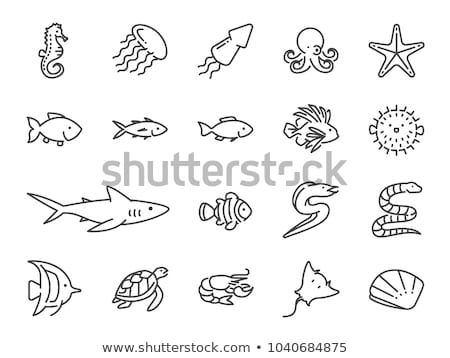 ストックフォト: Bass Fish And Octopus Set Vector Illustration