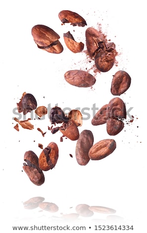 Foto stock: Cocoa Beans And Cocoa Powder