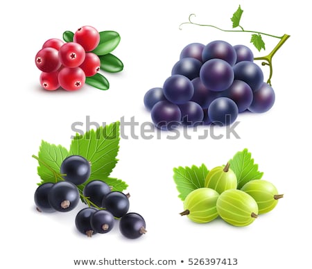 Stok fotoğraf: Fresh Currant