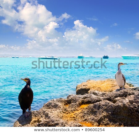 Stock photo: La Savina Port In Formentera Balearic Island