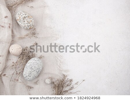 Stock photo: Easter Eggs In Grass With Drapery Flower