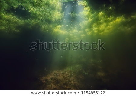 Stock photo: Scene With Pond Close To The Ocean