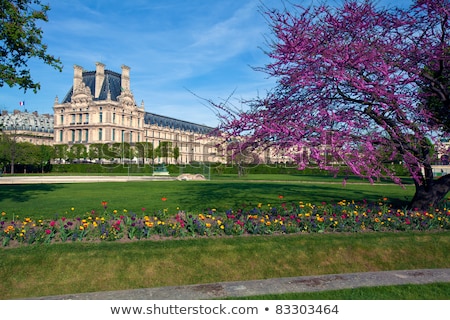 Foto stock: Tuileries Garden Paris