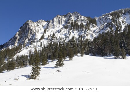 Stock photo: Summit Jaegerkamp Bavaria Alps