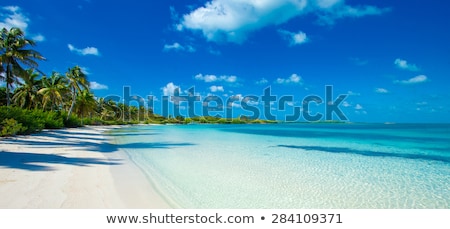 Foto d'archivio: Beach On Tropical Island Clear Blue Water Sand Clouds