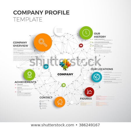 Zdjęcia stock: Vector Company Profile Infographic Diagram Template