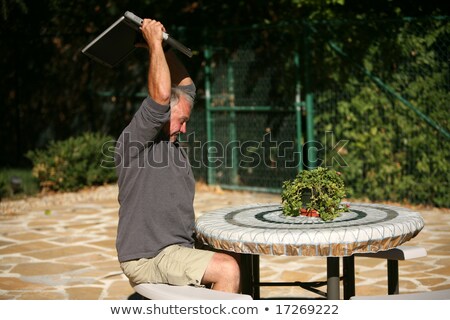 Foto stock: Hard Drive Cutted In To Pieces