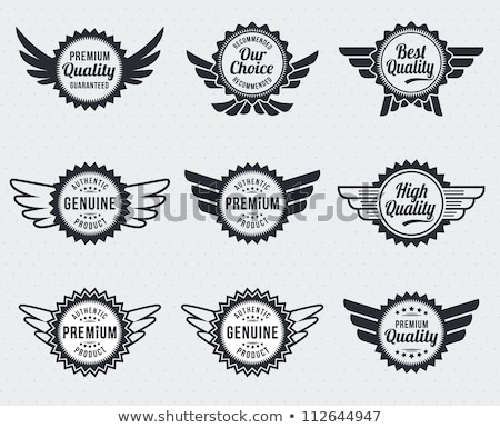 Emblem Badge With Wing Design Zdjęcia stock © rtguest