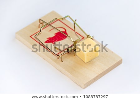 Сток-фото: Wooden Mouse Trap
