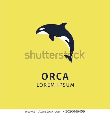 Foto stock: Killer Whale Swimming In The Sea Flat Icon Design