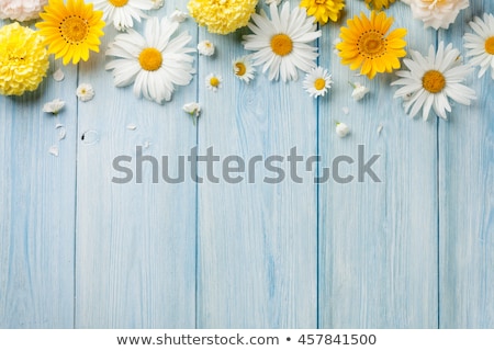 Stock fotó: Wooden Frame Design With Yellow Flowers