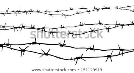 Stok fotoğraf: Barbed Wire A Fence In Prison And The Silhouette Of A Prison Guard On The Background