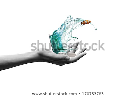 Zdjęcia stock: Fish Jumping Out Of Display Screen