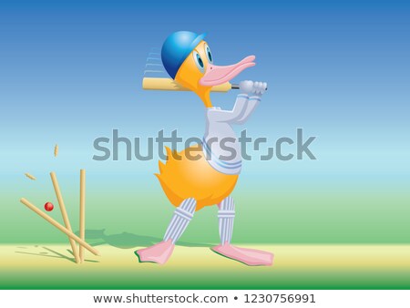 Stock photo: Cricket Duck - Bowled