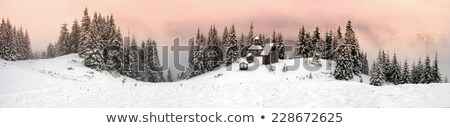 Stock photo: Lost House In The Autumn Forest