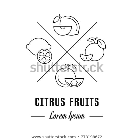 Stockfoto: Citrus Fruit Icon Concept