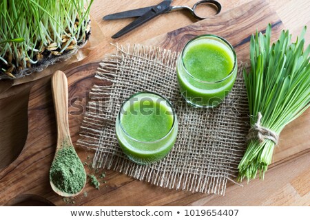 Foto d'archivio: Two Glasses Of Barley Grass Juice With Fresh Barley Grass In The Background