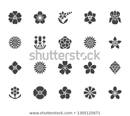 Stock photo: Frangipani Flower Icon