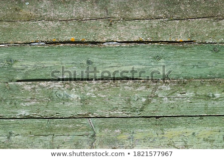 Stok fotoğraf: Detail Of Green Mossy Timber Grunge Wooden Fence