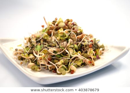 ストックフォト: Bean Sprout Salad