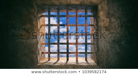 Foto d'archivio: Old Window Behind Metal Grid