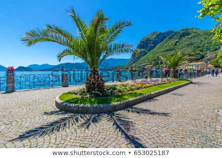 [[stock_photo]]: Promenade At The Town Of Menaggio At Lake Como Italy