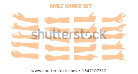 Stockfoto: Male Hand Forming A Fist