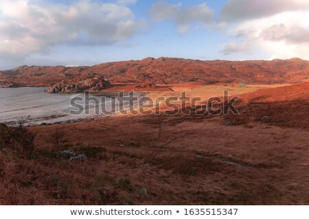 Stockfoto: Bothie