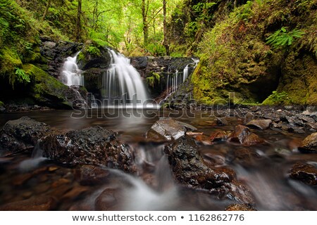 ストックフォト: Emerald Falls Along Gorton Creek